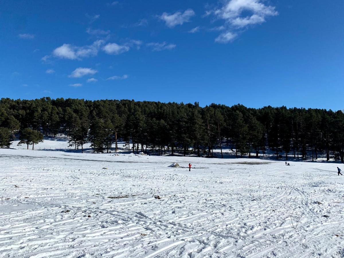 Villa De Gredos 纳瓦雷东达德格雷多斯 外观 照片