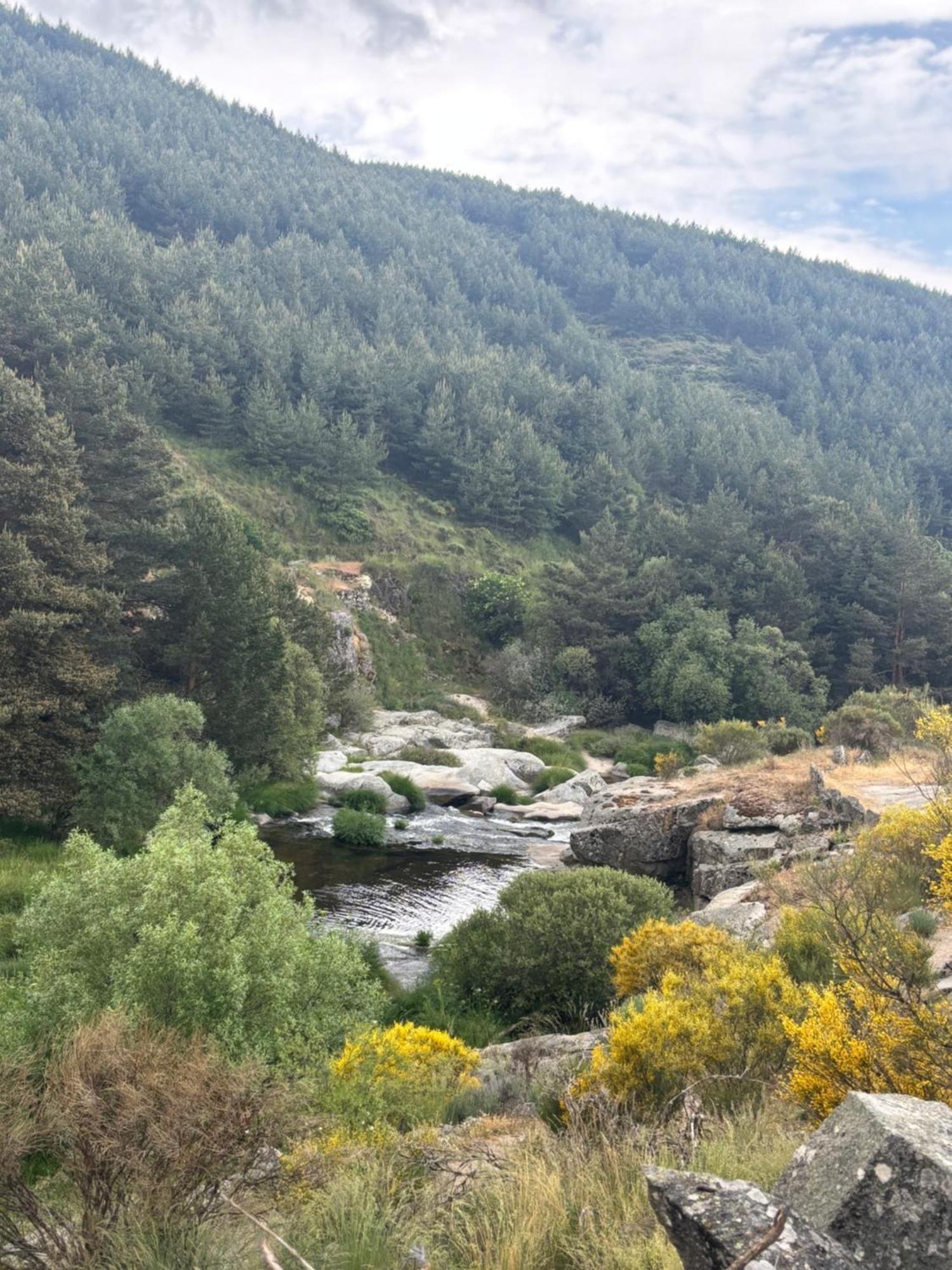 Villa De Gredos 纳瓦雷东达德格雷多斯 外观 照片
